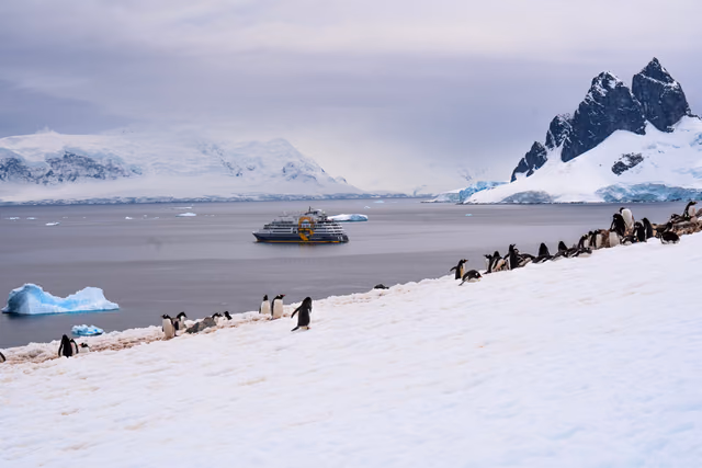 Penguins on a snowy slope above an Antarctic bay, with a small expedition ship anchored among icebergs and snow-covered peaks behind