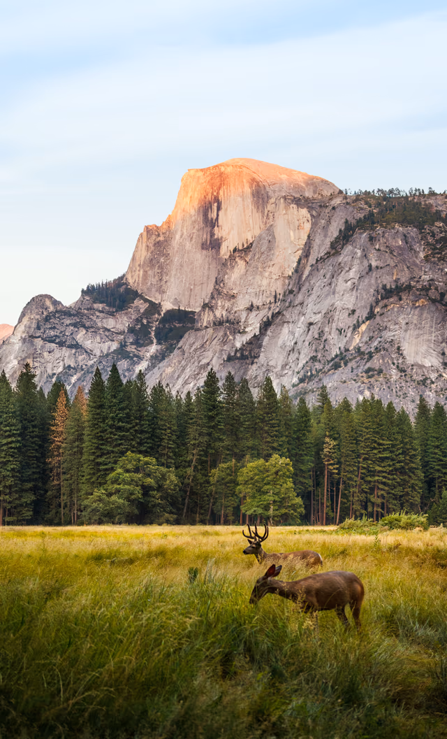 Affordable Adventures: Exploring National Parks For Free
