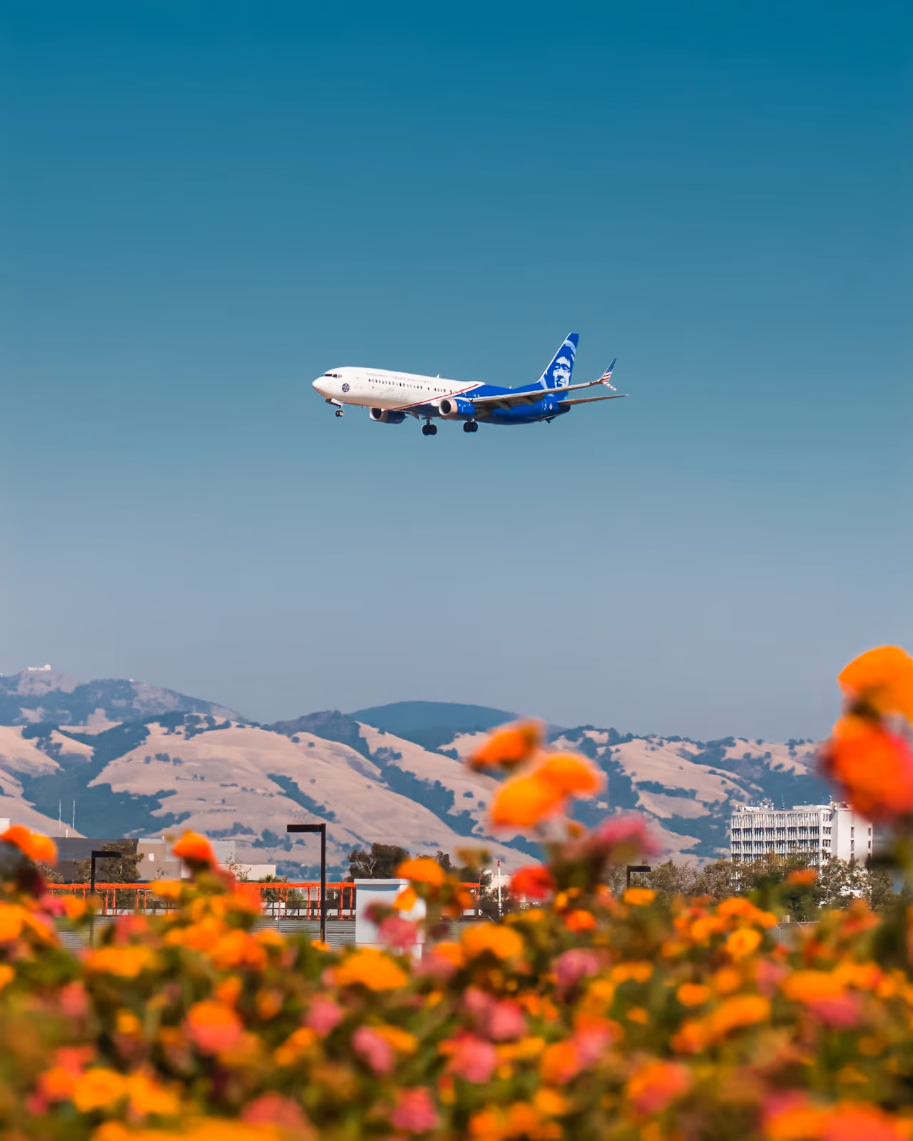 Unlock Adventure: Unleash The Power Of Alaska Mileage Plus