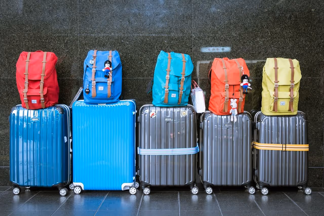 Avoid Checked Baggage Fees in 2026: Cards and Status That Get You Free Bags