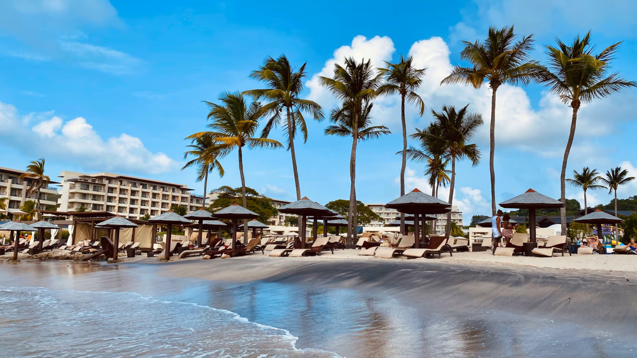Beachfront resort with palm trees and lounge chairs.
