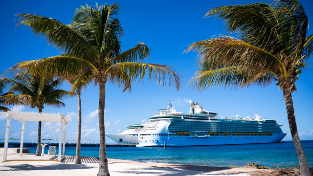 Tropical beach with palm trees and cruise ships docked by clear blue ocean