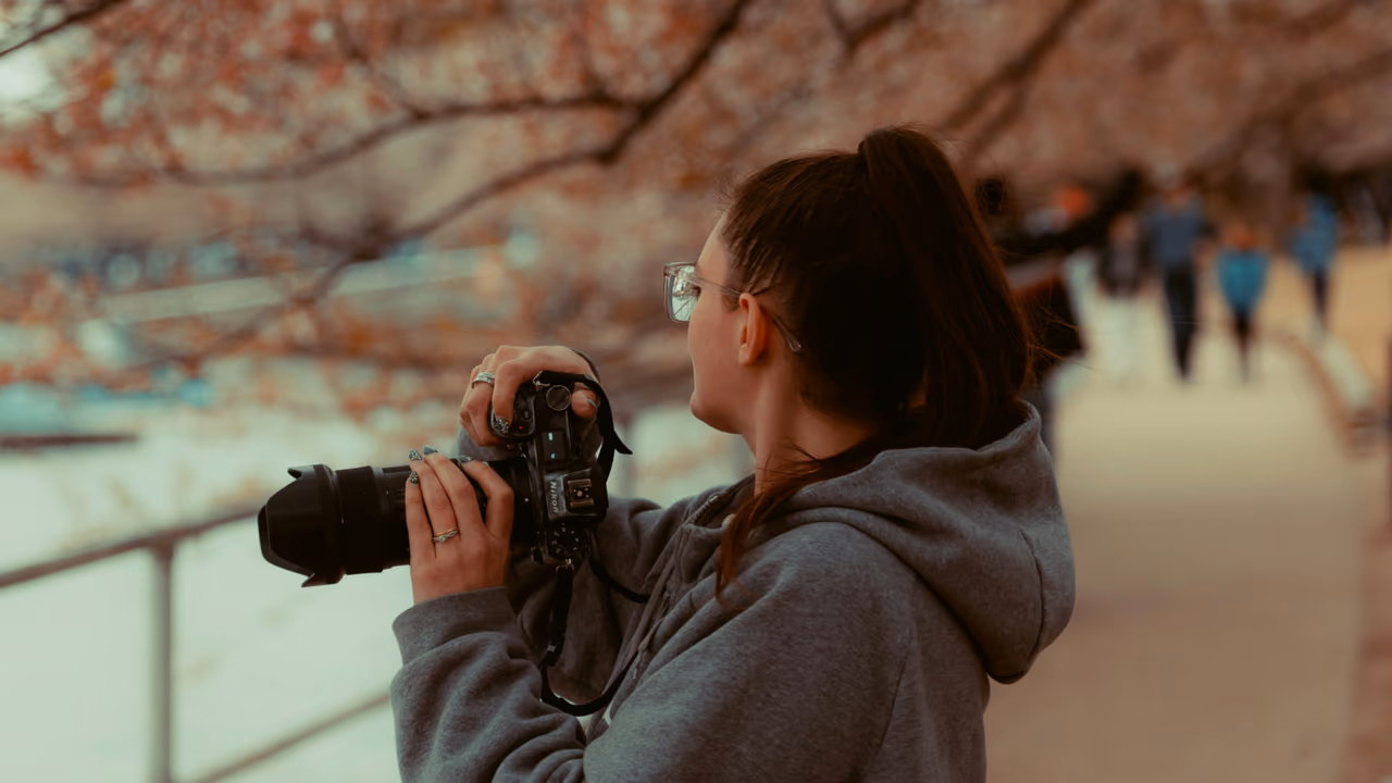 Photographer capturing cherry blossoms