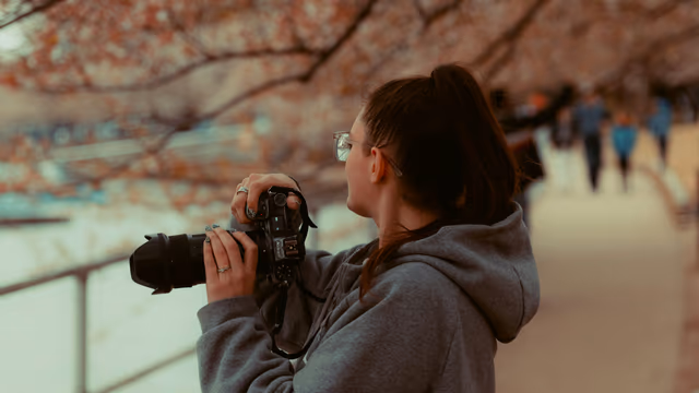 Cherry Blossoms in the USA: 2027 Planning Guide