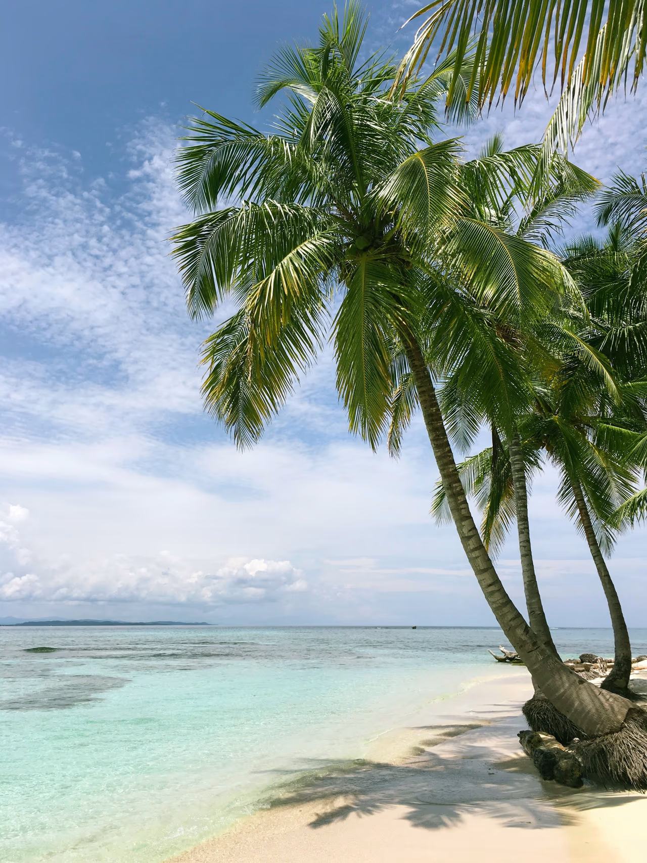 How To Find Cheap Flights To Bora Bora: Tips And Tricks