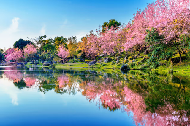 Delta SkyMiles Deal: LAX to Tokyo for 30,000 Points One-Way