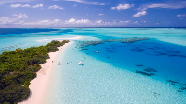 How To Earn 80K Bonus Citi Card Reward Points