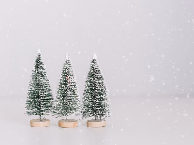 How To Maximize Credit Card Rewards During Holidays