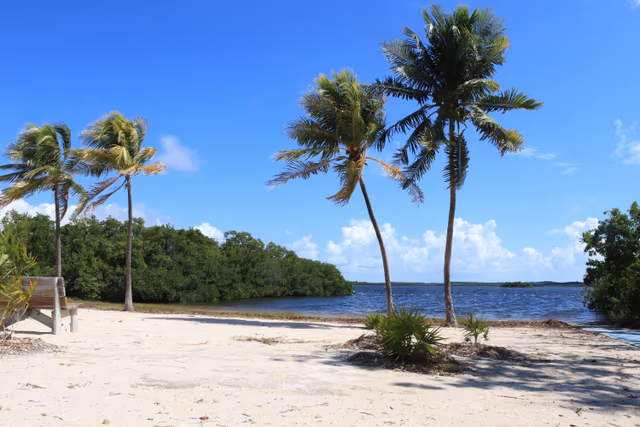 Key Largo Resorts: A Tropical Paradise Awaits