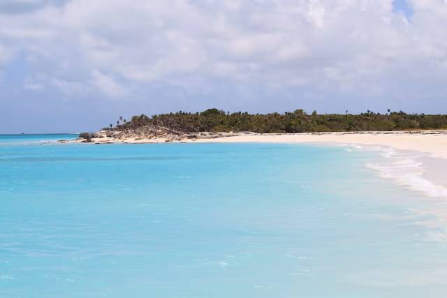 Paradise Awaits: All-Inclusive Luxury at Alexandra Resort