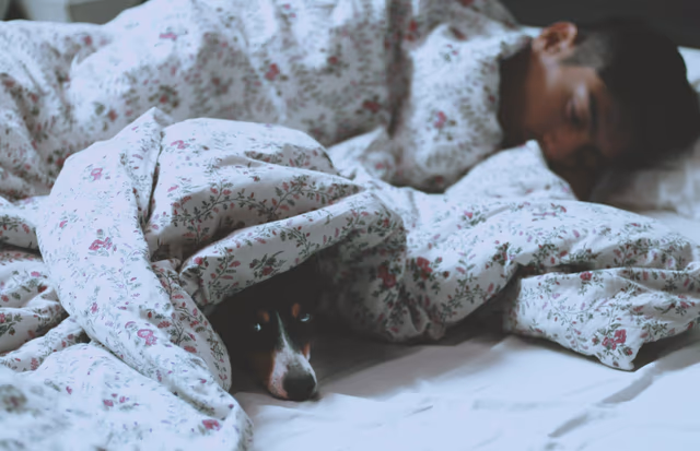 Pet-Friendly Vacations: Planning the Perfect Trip