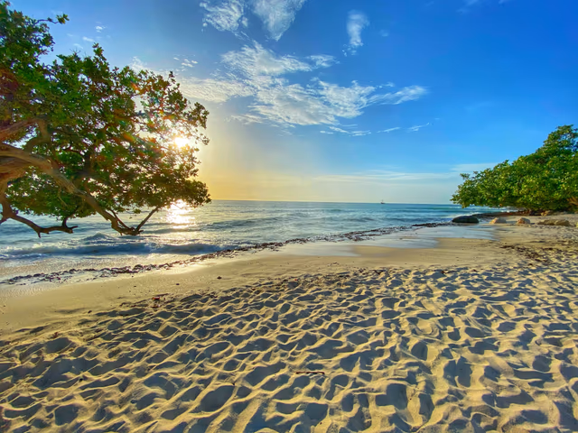 The Magic Of Aruba: All-inclusive Resorts For Travelers