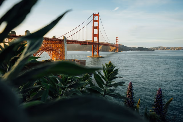 Golden Gate Gem: Perfect Time to Visit!
