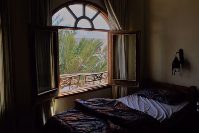 A bedroom with an open wooden window frame and a palm tree outside