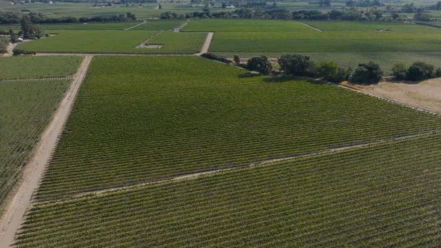 Delta SkyMiles Members Can Check a Case of Wine Free From Five California Airports