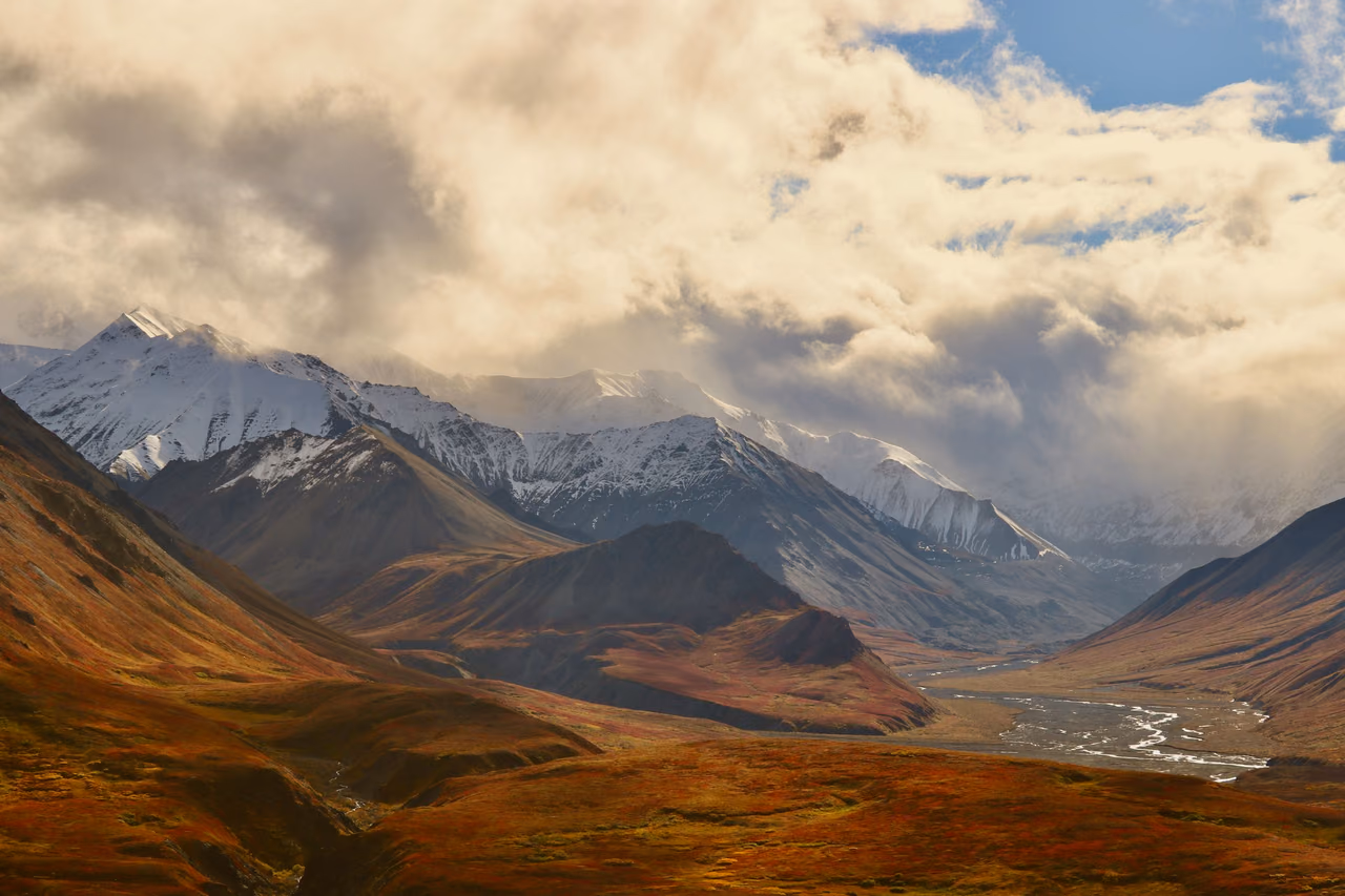 A braided river runs through an autumn-colored valley below snow-capped mountains and heavy clouds in Denali National Park, Alaska