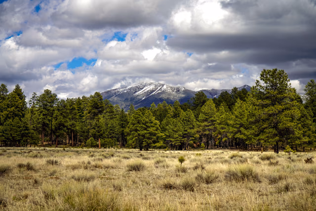 Delta Adds Salt Lake City to Flagstaff Nonstops From June 7, 2027
