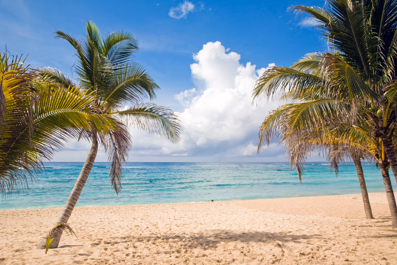 Palm trees leaning over white sand and clear turquoise water on a Caribbean beach under a bright sky
