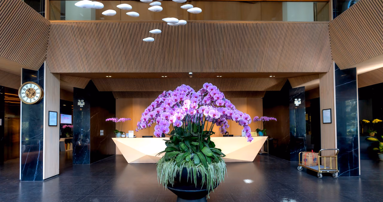 Hotel lobby with a large purple orchid arrangement in front of a white reception desk