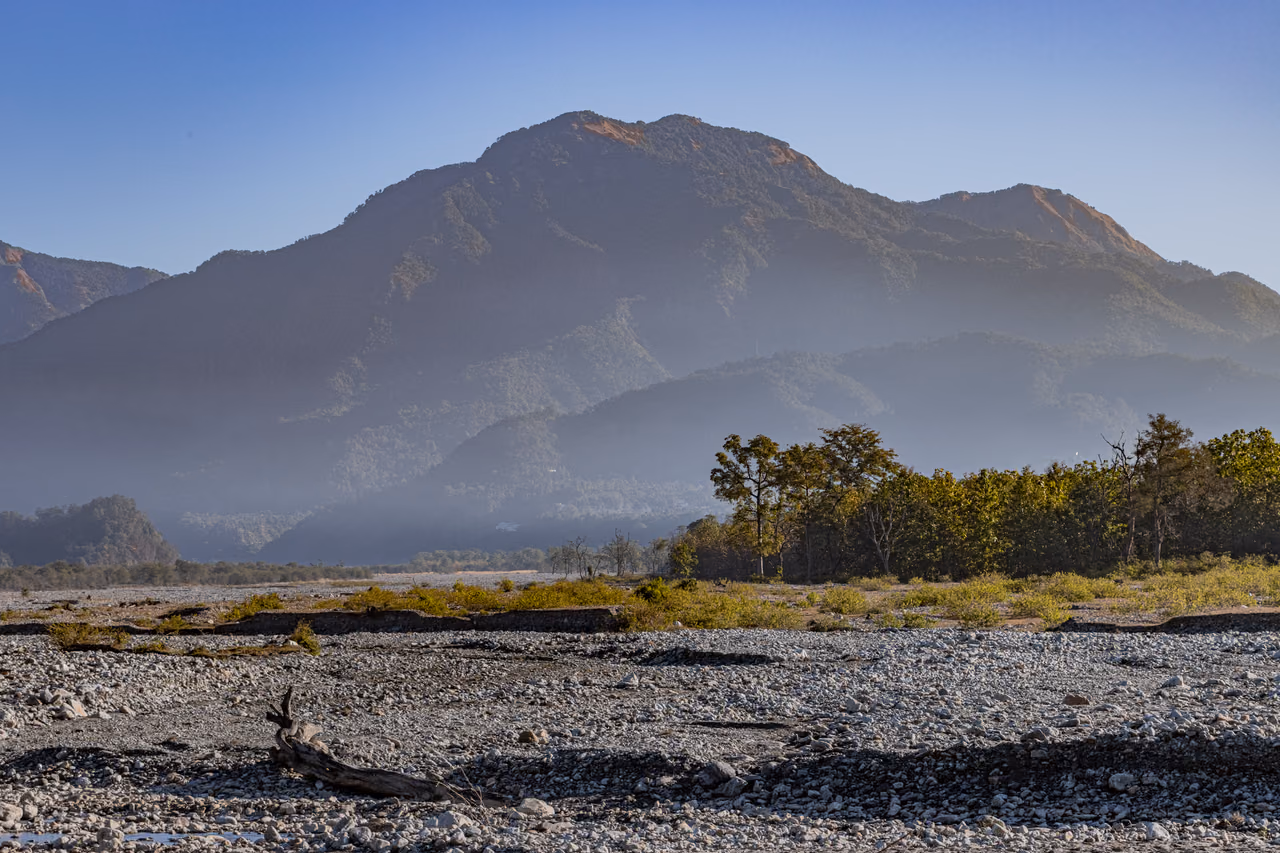 Forested mountains rising above a dry, stony riverbed and a line of trees in Jim Corbett National Park, India, in hazy light