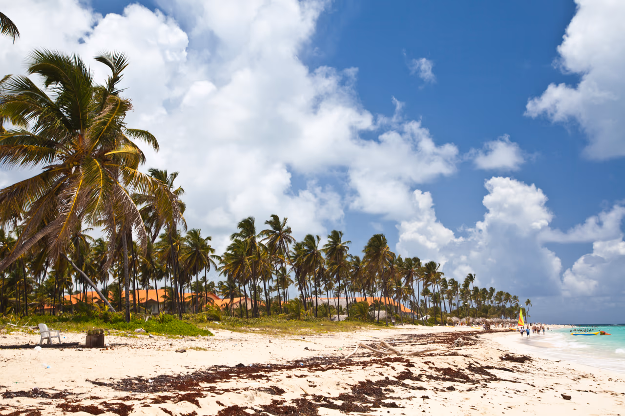 A wide Punta Cana beach with palms leaning over the sand, seaweed along the tideline and orange-roofed resort buildings behind the tree line