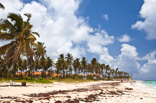 Punta Cana on Points: Which All-Inclusives Your Balance Actually Reaches