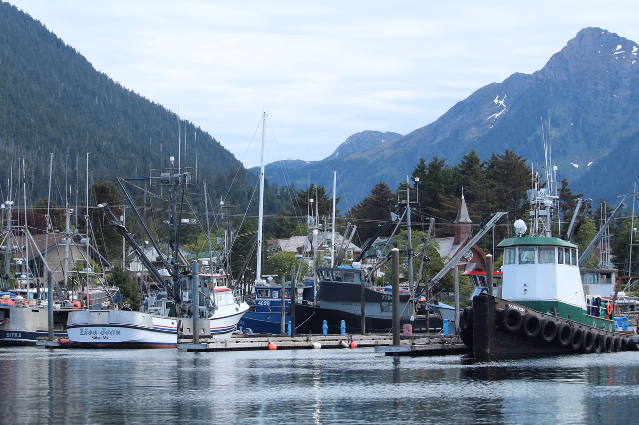 Fishing boats moored in Sitka harbor, Alaska, with forested mountains and a church spire behind the docks
